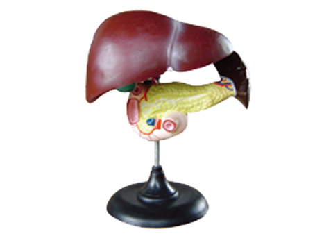 SD-093 33216ʮ֬cKģ